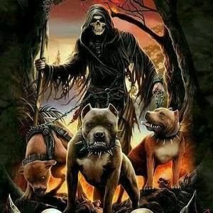 Meet your Posher, Gualberto